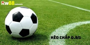 Cách Đọc Kèo Chấp 0.5/1 Và Bật Mí Mẹo Soi Kèo Chuẩn Từ Chuyên Gia